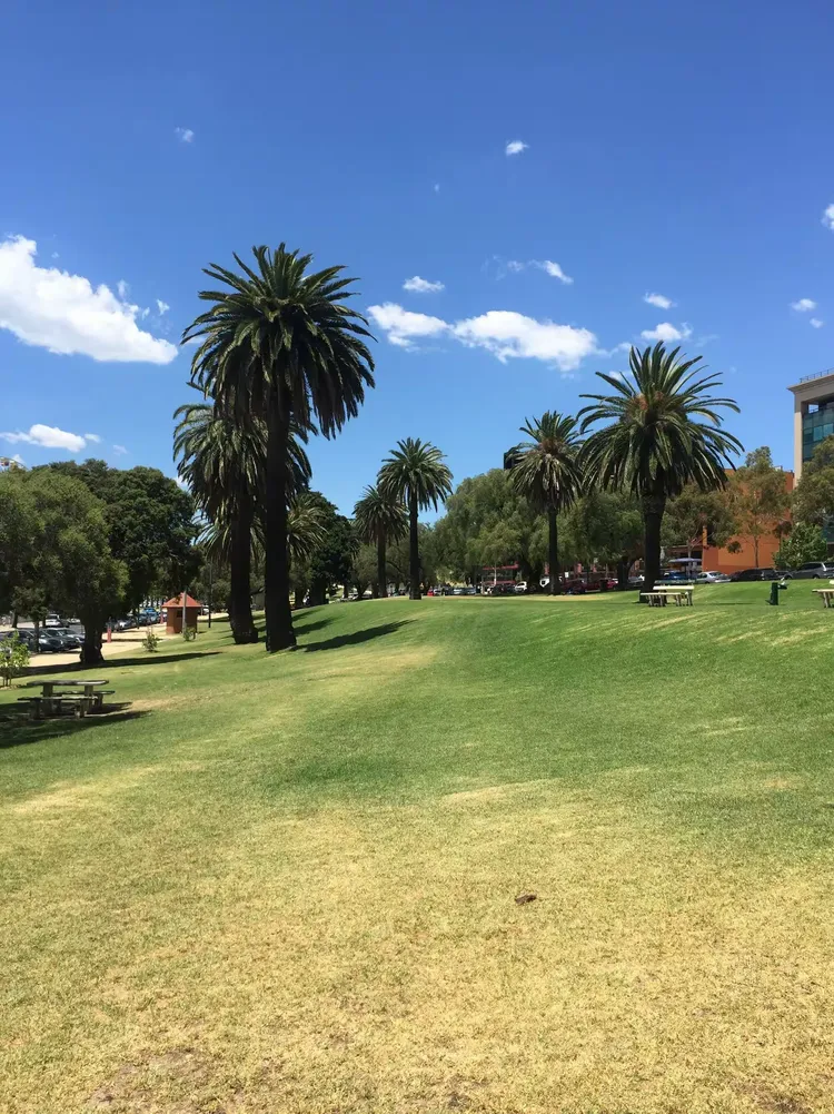 九游- 澳大利亚选手 